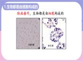 初中  生物  人教版（2024）  七年级上册  第一单元   第一章 第二节 生物的特征 课件