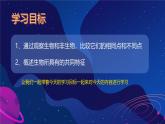 初中  生物  人教版（2024）  七年级上册  第一单元   第一章 第二节 生物的特征 课件
