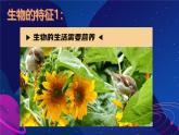 初中  生物  人教版（2024）  七年级上册  第一单元   第一章 第二节 生物的特征 课件