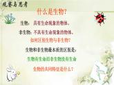 初中  生物  人教版（2024）  七年级上册  第一单元   第一章 第二节 生物的特征 课件