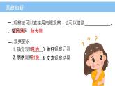 初中  生物  人教版（2024）  七年级上册  第一单元   第一章 第二节 生物的特征 课件