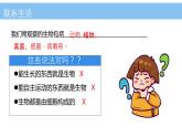 初中  生物  人教版（2024）  七年级上册  第一单元   第一章 第二节 生物的特征 课件