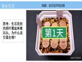 初中  生物  人教版（2024）  七年级上册  第一单元   第一章 第二节 生物的特征 课件