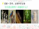 初中  生物  人教版（2024）  七年级上册  第一单元   第一章 第二节 生物的特征 课件