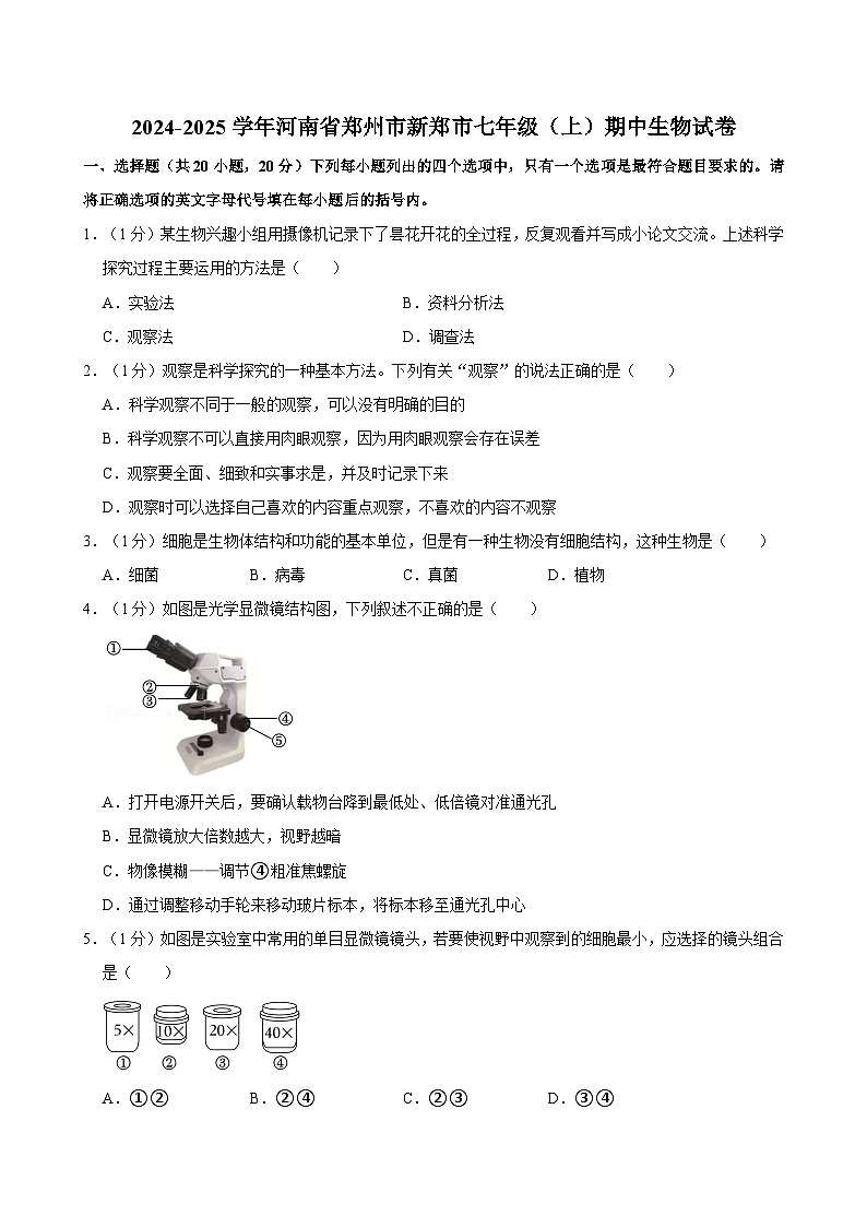 河南省郑州市新郑市2024-2025学年七年级上学期期中考试生物试卷第1页