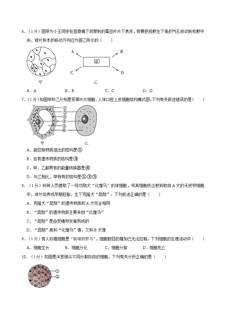 河南省郑州市新郑市2024-2025学年七年级上学期期中考试生物试卷第2页