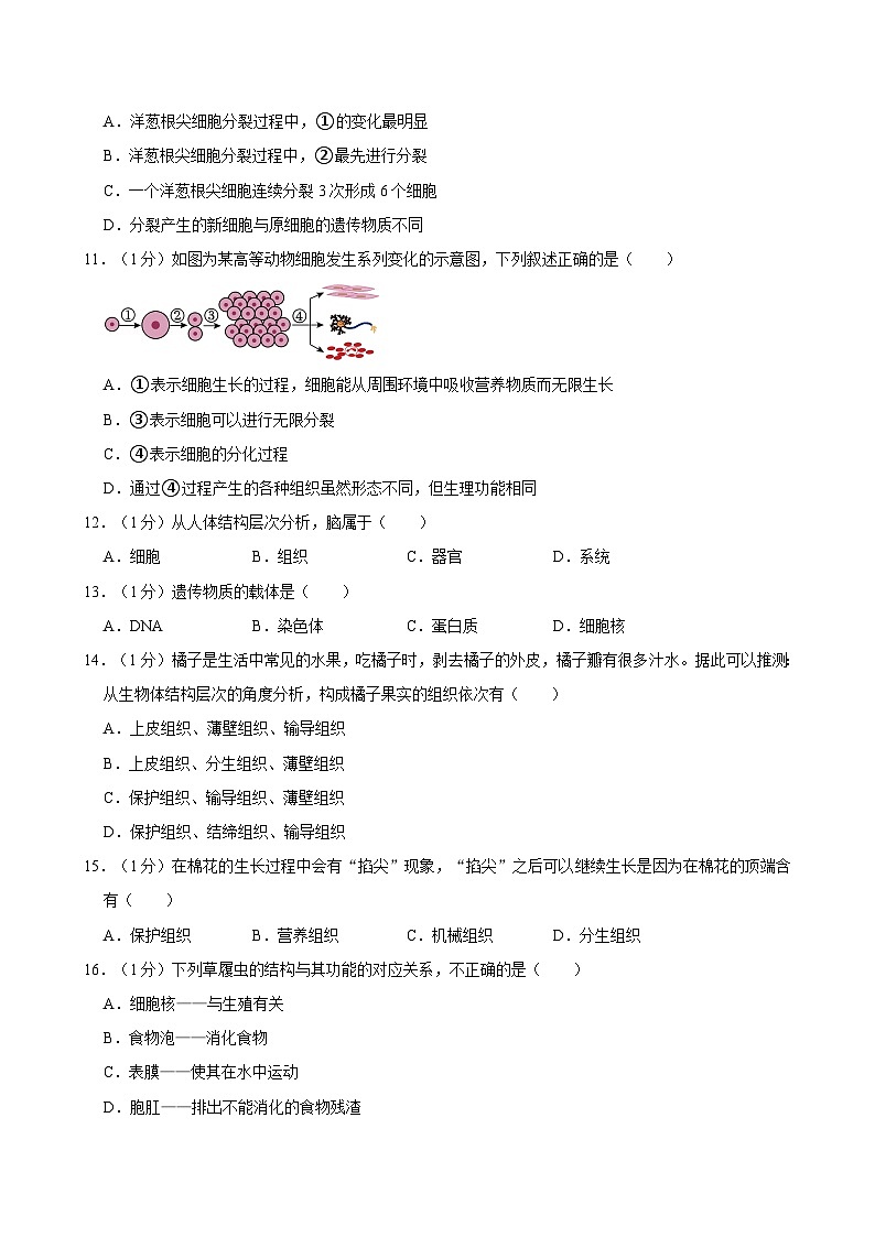 河南省郑州市新郑市2024-2025学年七年级上学期期中考试生物试卷第3页