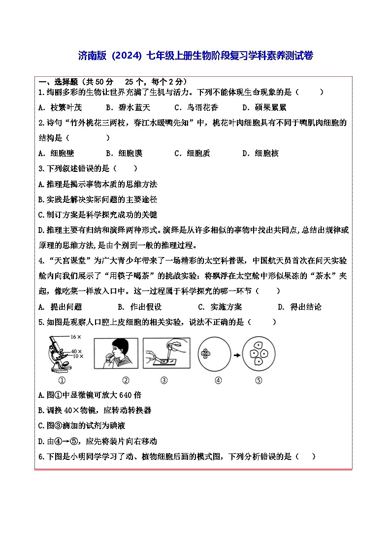 济南版（2024）七年级上册生物阶段复习学科素养测试卷（含答案）第1页