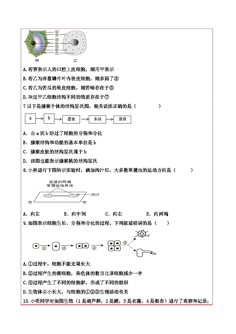 济南版（2024）七年级上册生物阶段复习学科素养测试卷（含答案）第2页
