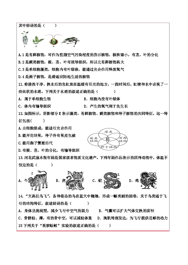 济南版（2024）七年级上册生物阶段复习学科素养测试卷（含答案）第3页