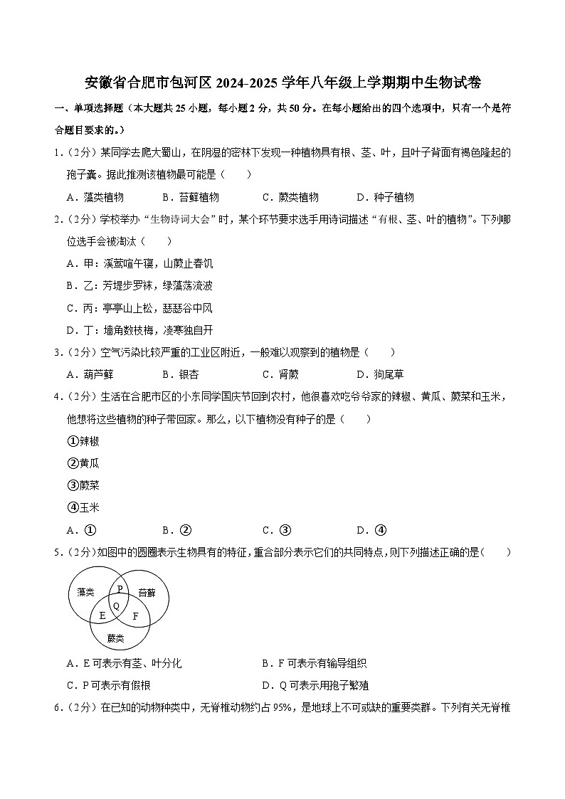 安徽省合肥市包河区2024-2025学年八年级上学期期中生物试卷第1页