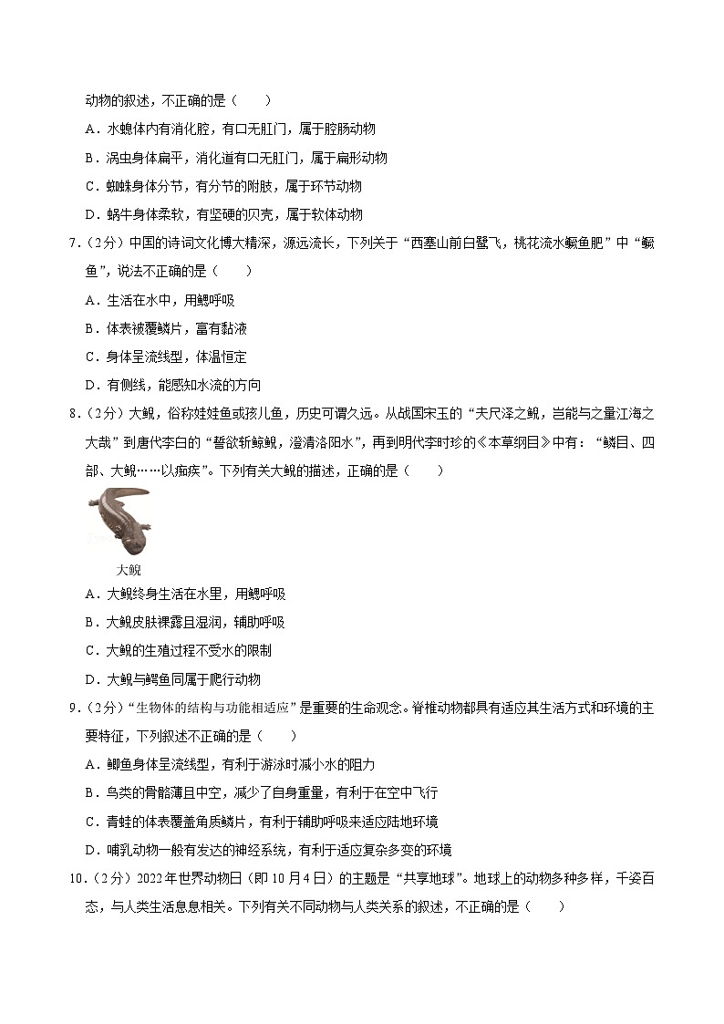 安徽省合肥市包河区2024-2025学年八年级上学期期中生物试卷第2页