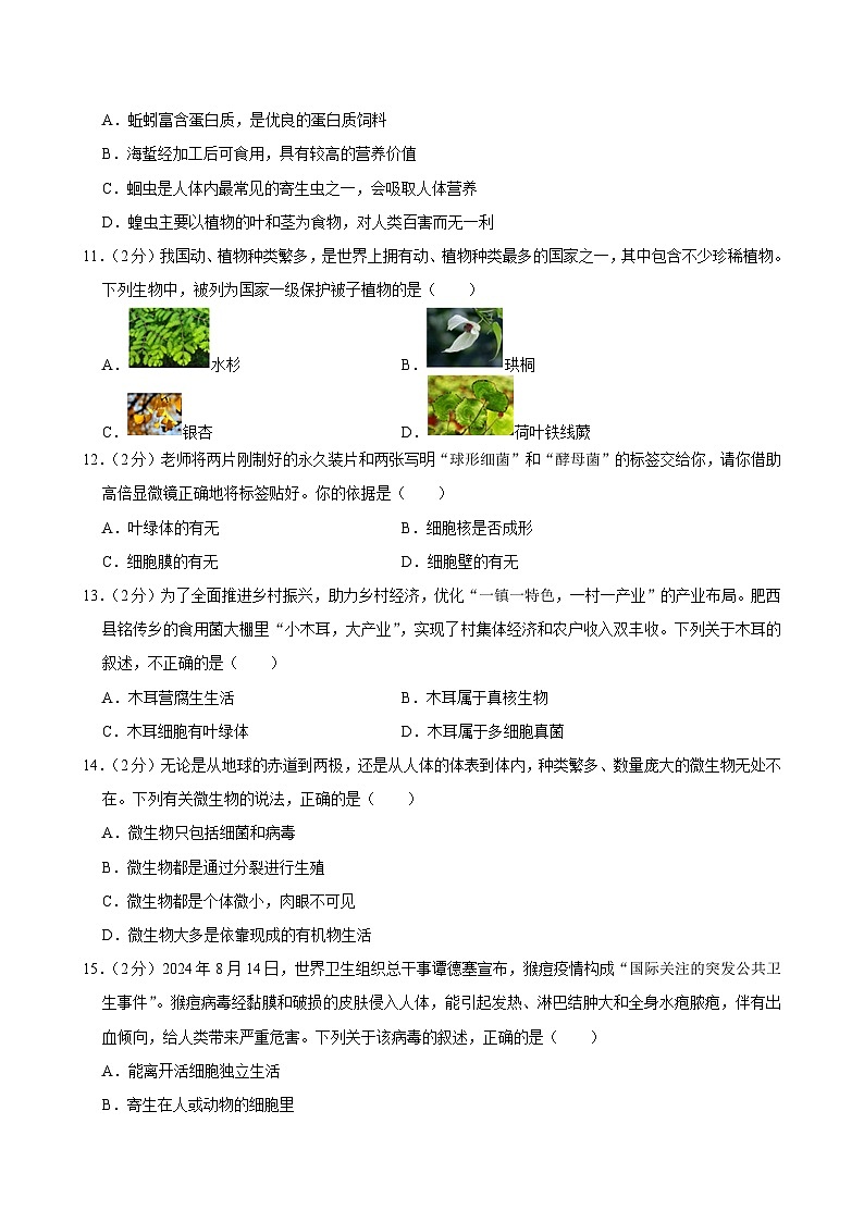 安徽省合肥市包河区2024-2025学年八年级上学期期中生物试卷第3页