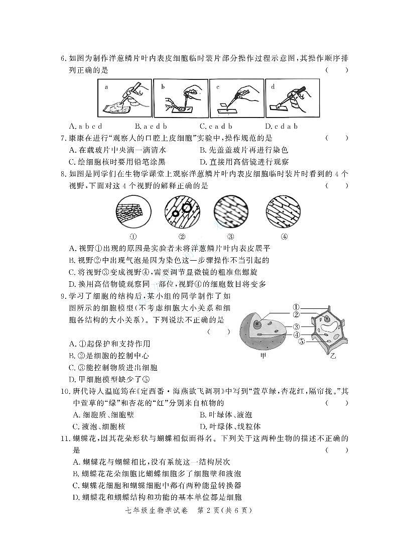 河南省郑州市2024--2025学年七年级上学期联考生物期中试卷第2页