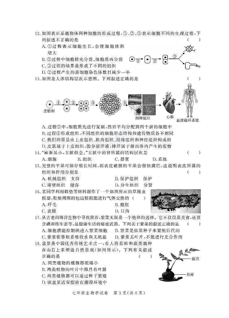 河南省郑州市2024--2025学年七年级上学期联考生物期中试卷第3页