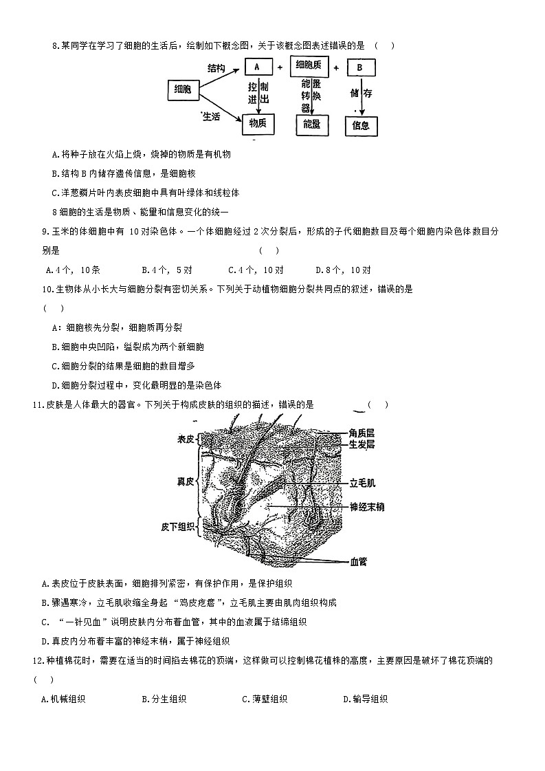 吉林省长春市新解放学校初中部2024-2025学年七年级上学期第二次大练习（期中）生物试题第2页