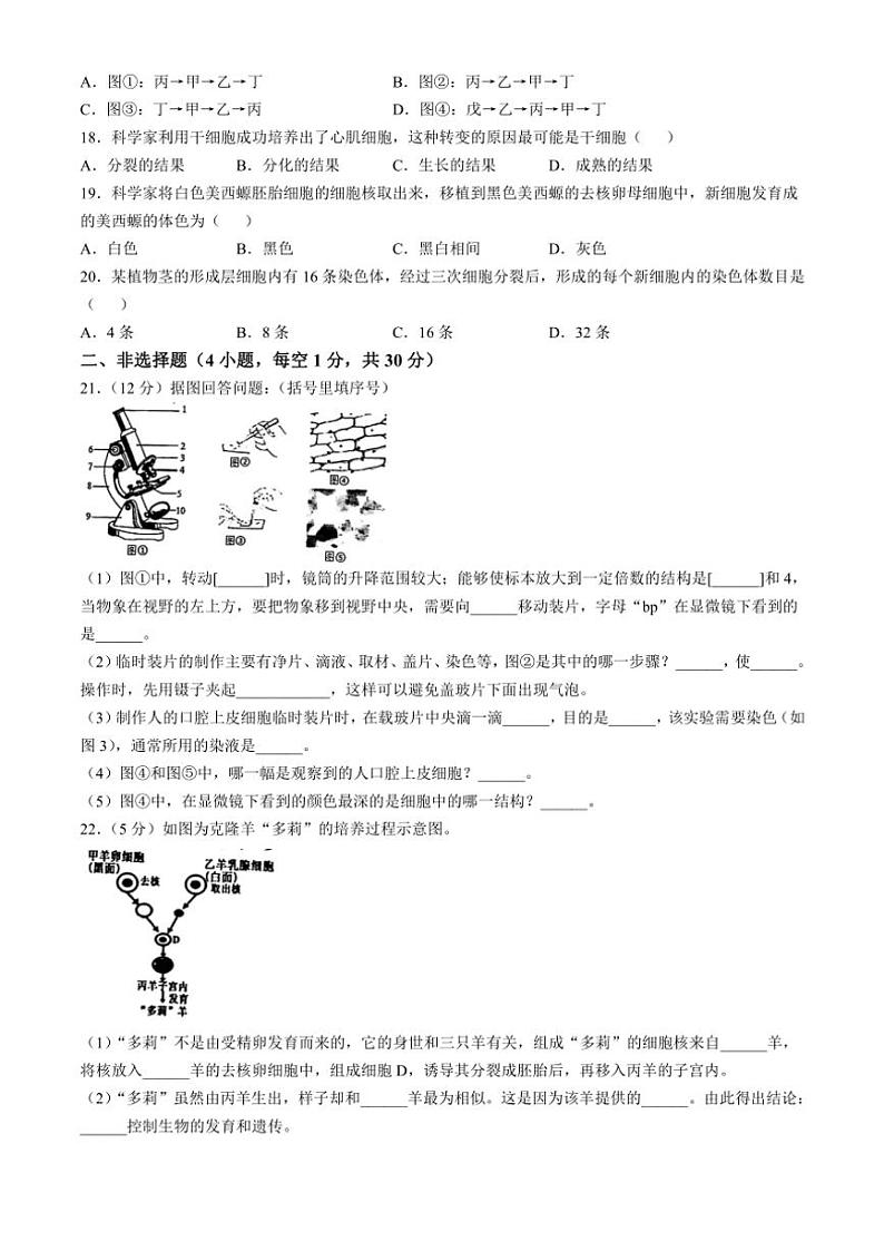 2023～2024学年河南省南阳市镇平县七年级(上)期中生物试卷(含答案)03