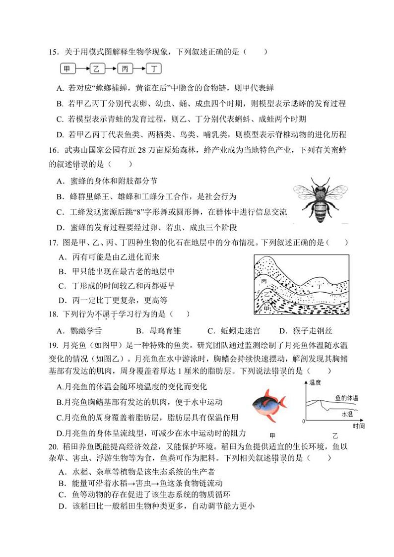 2024～2025学年福建省厦门市湖滨中学八年级(上)期中生物试卷(含答案)第3页