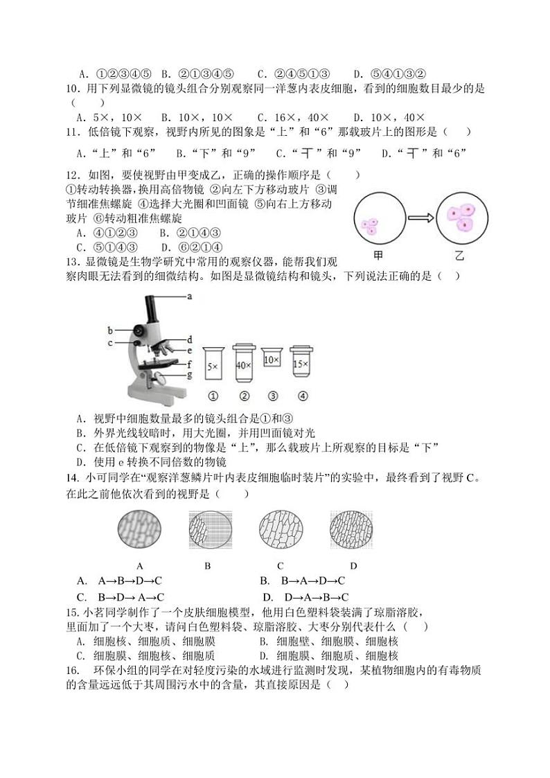 2024～2025学年福建省厦门市湖滨中学七年级(上)期中生物试卷(含答案)02