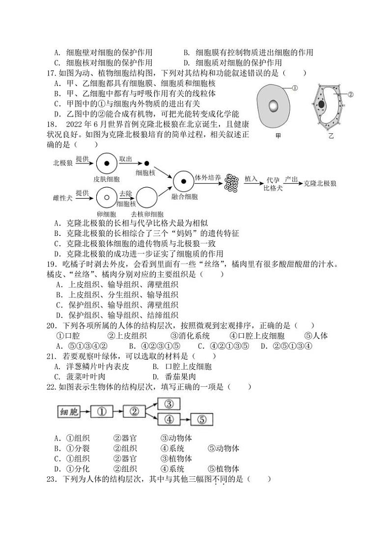 2024～2025学年福建省厦门市湖滨中学七年级(上)期中生物试卷(含答案)03