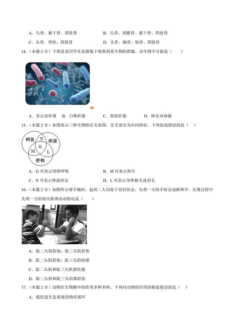 2024～2025学年四川省泸州市田家炳中学八年级(上)期中生物试卷(含答案)第3页
