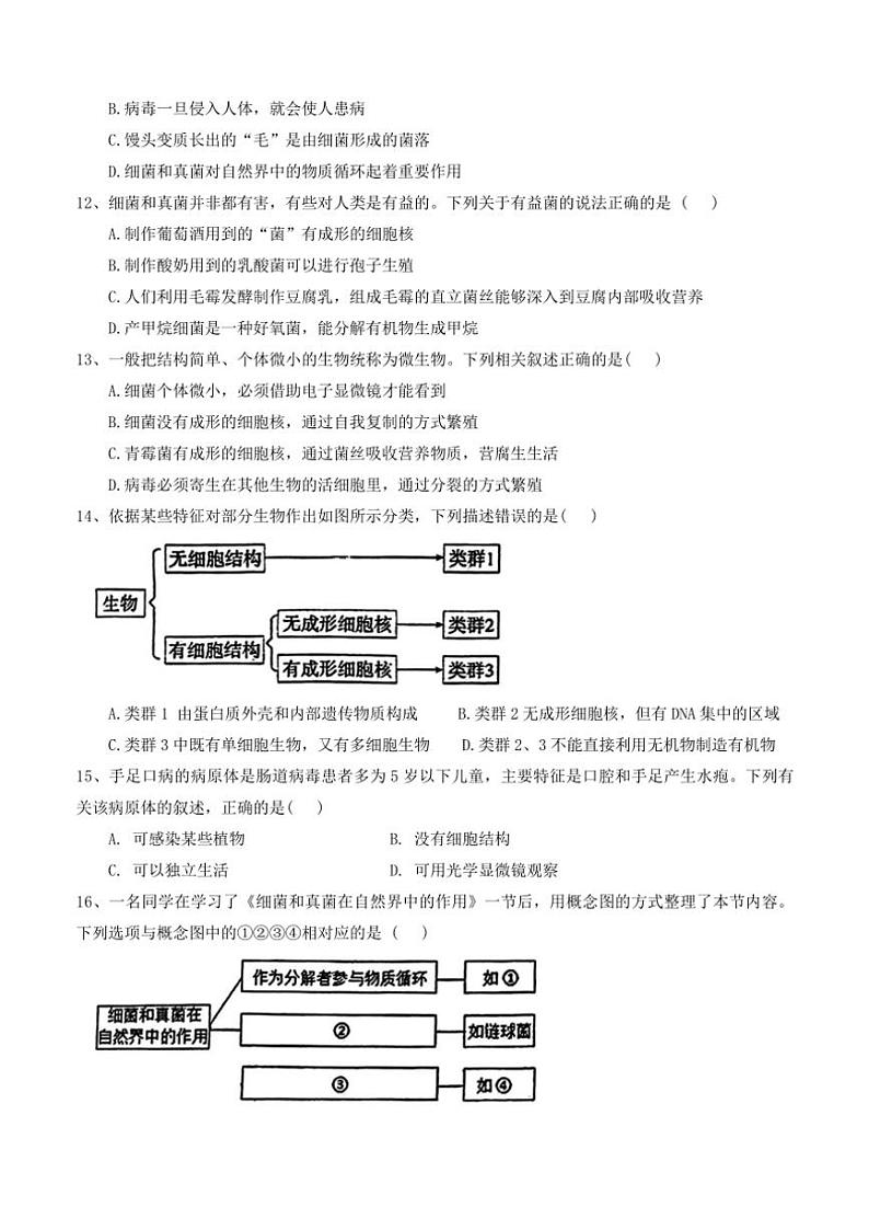 2024～2025学年安徽省淮北市八年级(上)期中生物试卷(含答案)03