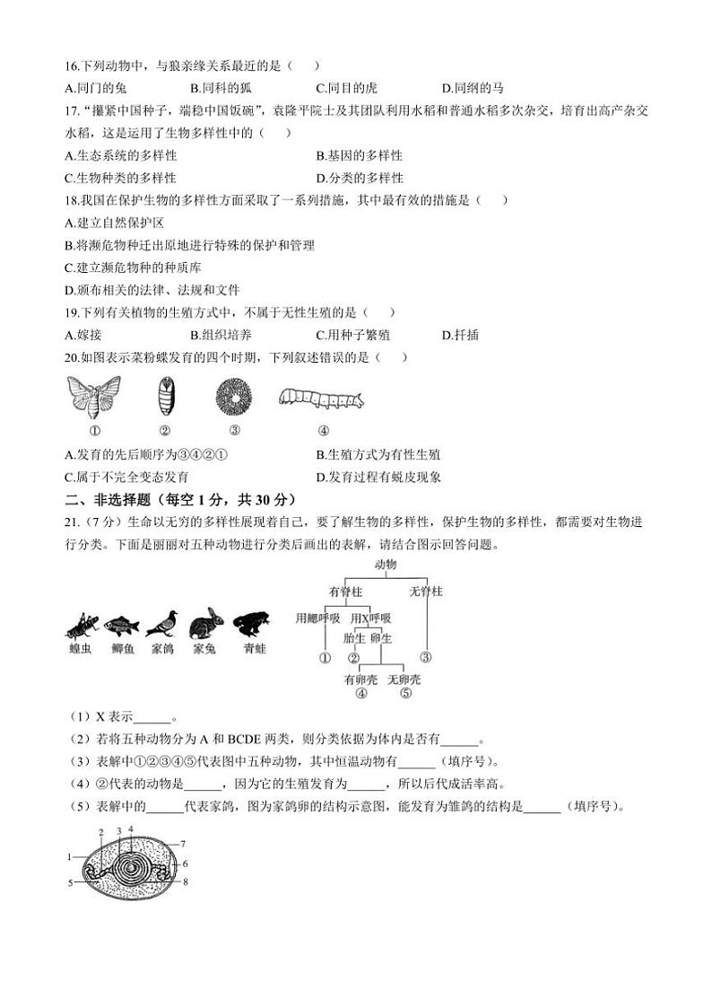 2024～2025学年吉林省吉林市松花江中学八年级(上)期中生物试卷(含答案)第3页