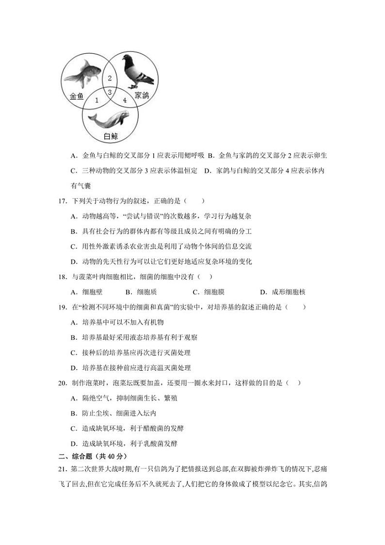 2024～2025学年四川省阆中东风中学校八年级(上)期中生物试卷(含答案)第3页