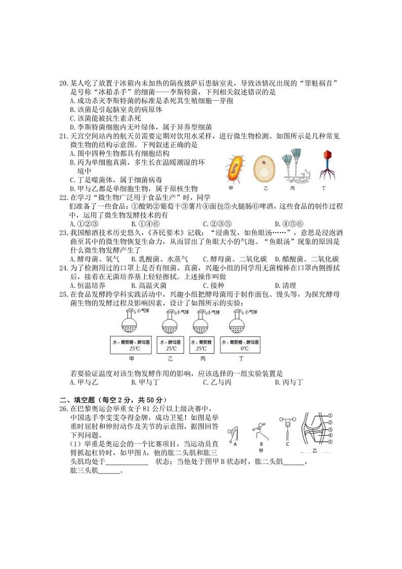 2024～2025学年安徽省黄山市歙县八年级(上)期中生物试卷(含答案)第3页