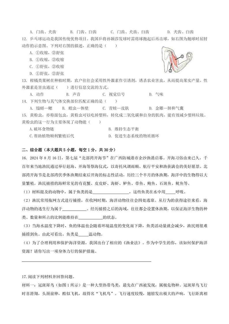 2024～2025学年广西壮族自治区玉林市玉州区八年级(上)期中教育监测与评价生物试卷(含答案)第2页