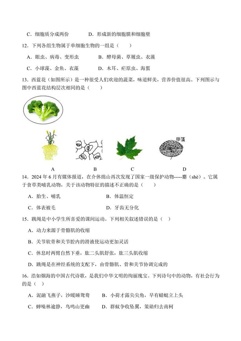 2024～2025学年四川省自贡市富顺第二中学校八年级(上)期中生物试卷(含答案)03