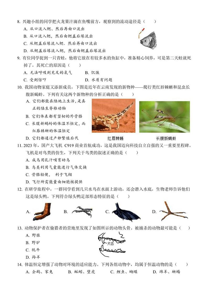 2024～2025学年湖南省永州市道县八年级(上)期中生物试卷(含答案)第2页