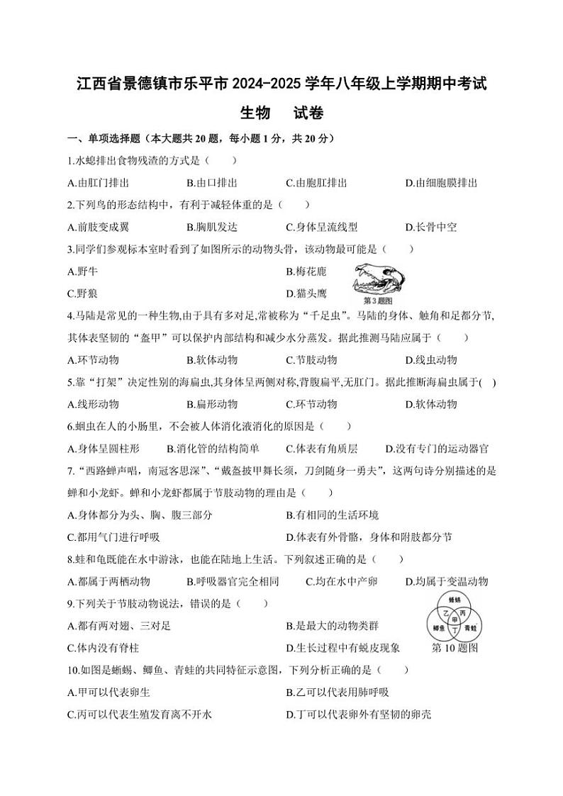 2024～2025学年江西省景德镇市乐平市八年级(上)期中生物试卷(含答案)第1页