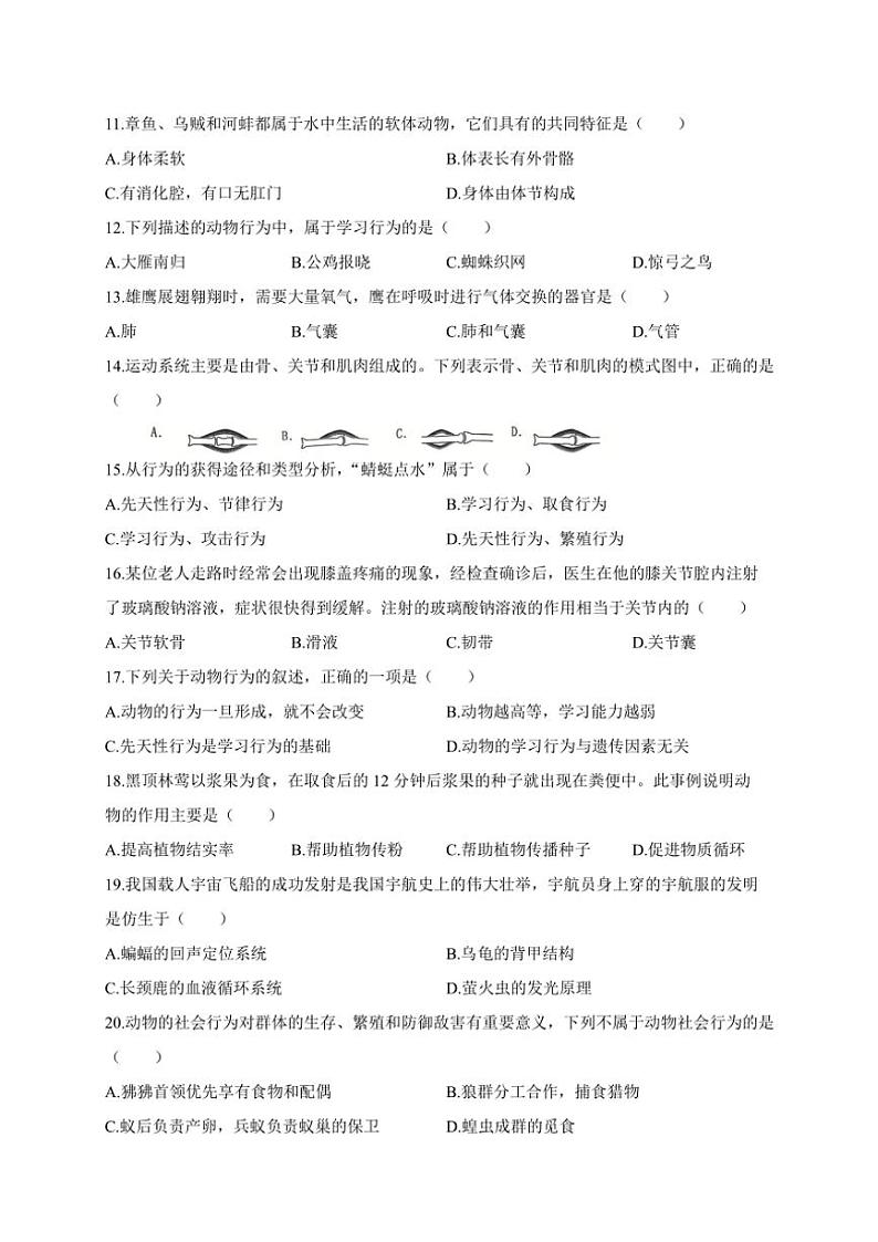 2024～2025学年江西省景德镇市乐平市八年级(上)期中生物试卷(含答案)第2页