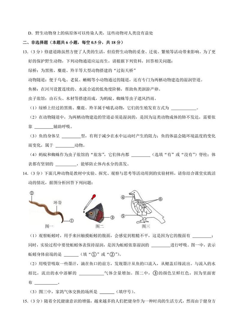 2024～2025学年辽宁省大连市甘井子区八年级(上)期中生物试卷(含解析)第3页