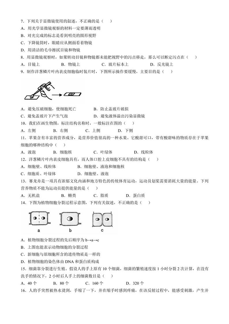 2024～2025学年云南省昭通市绥江县七年级(上)期中生物试卷(含答案)02