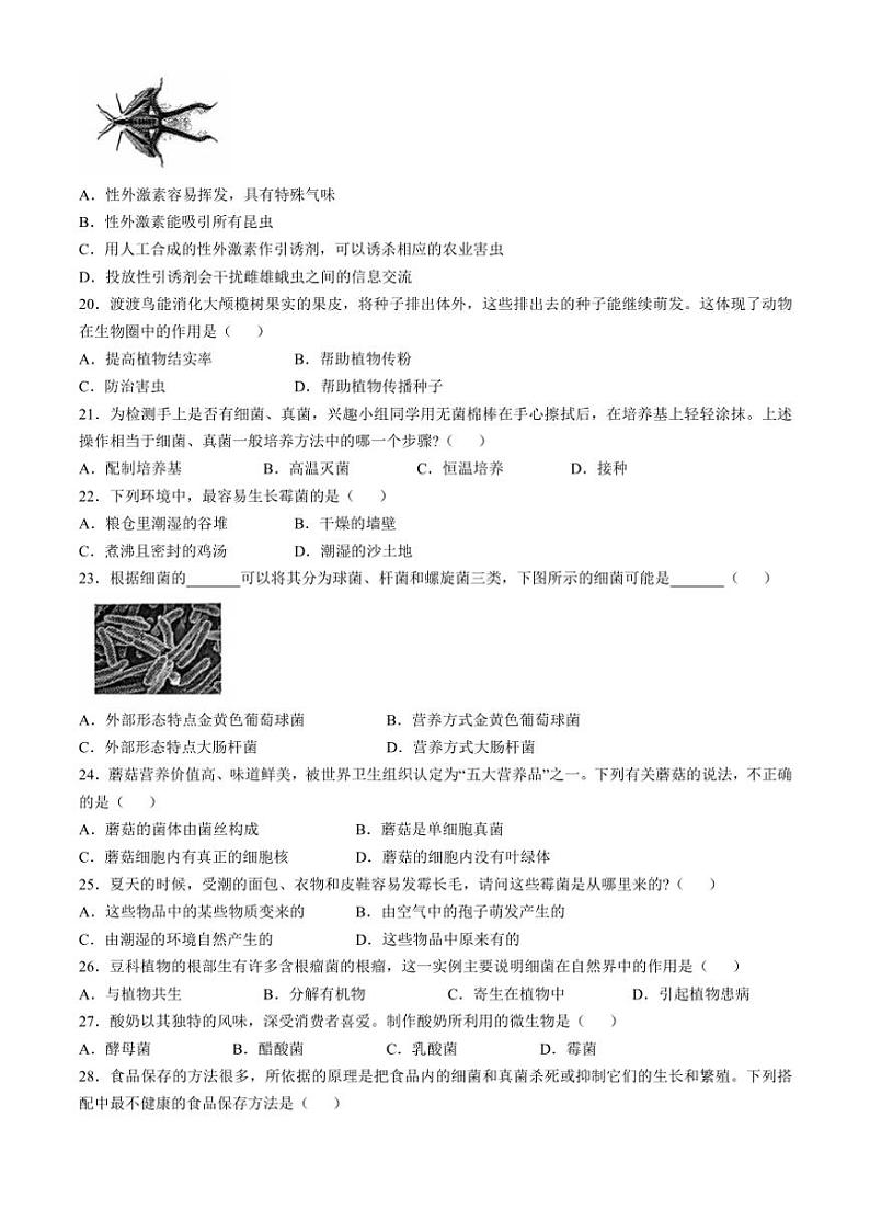 2024～2025学年云南省昭通市绥江县八年级(上)期中生物试卷(含答案)第3页