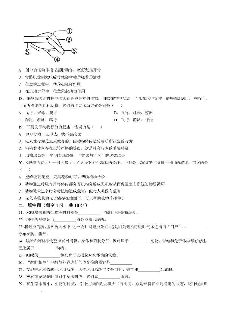 2024～2025学年甘肃省定西市临洮县八年级(上)期中生物试卷(含答案)第3页