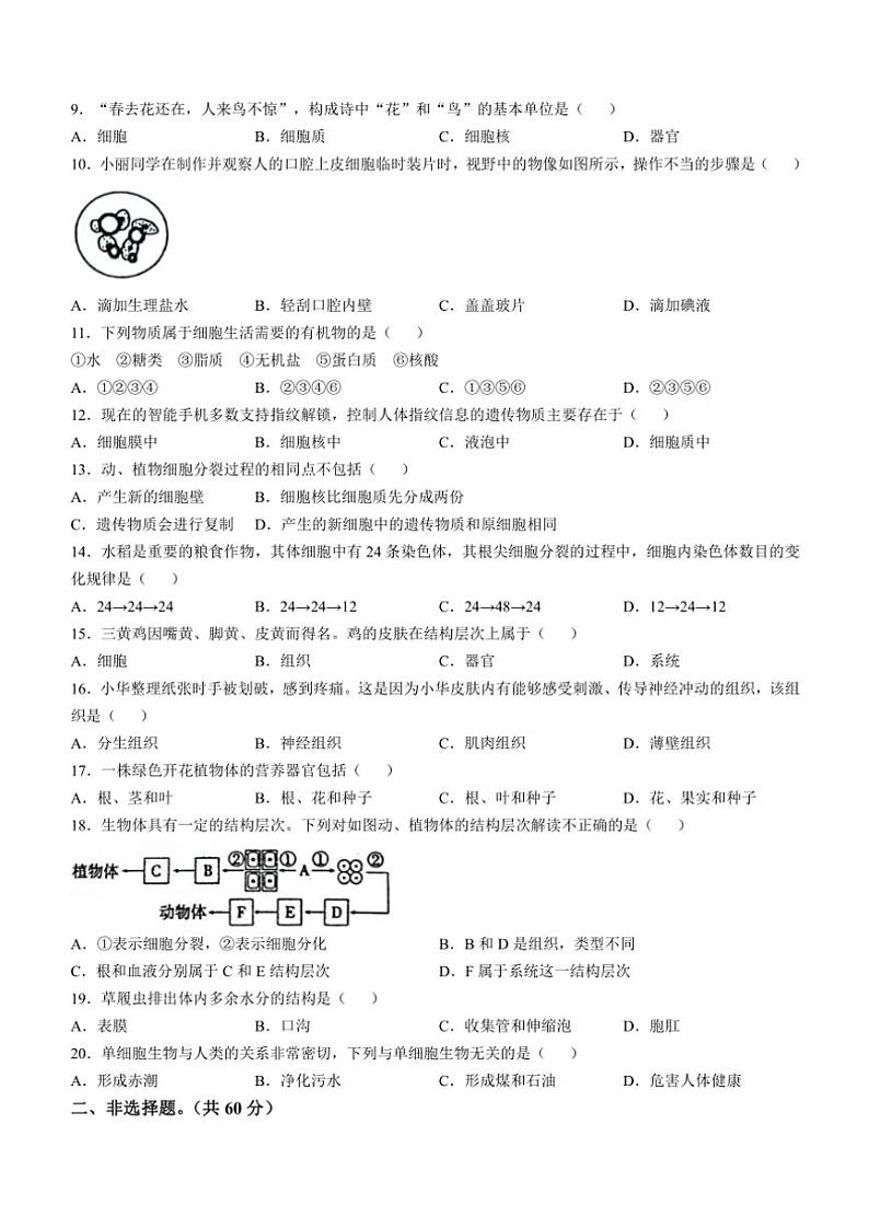 2024～2025学年甘肃省庆阳市镇原县七年级(上)期中生物试卷(含答案)第2页