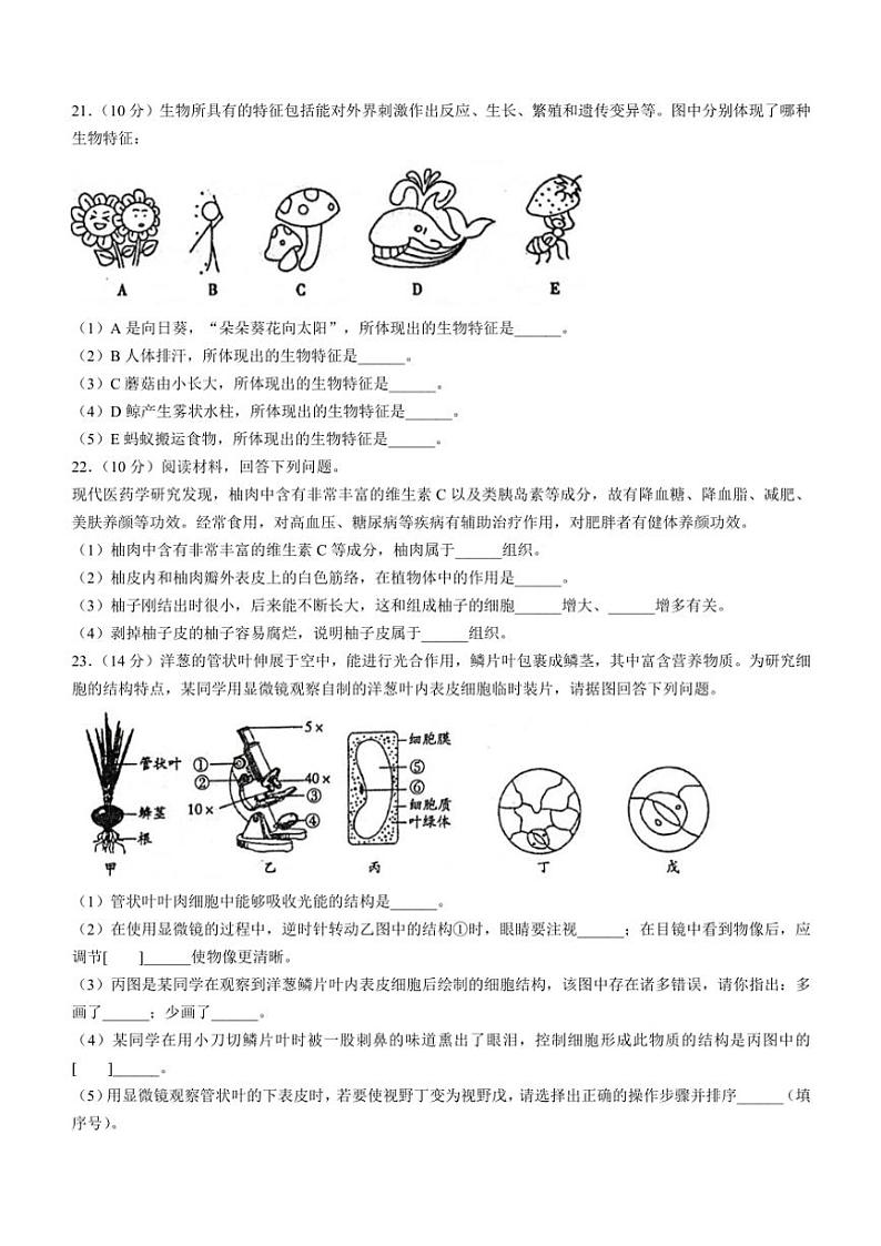 2024～2025学年甘肃省庆阳市镇原县七年级(上)期中生物试卷(含答案)第3页