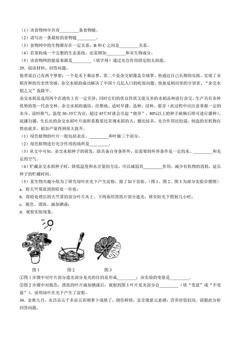 2024～2025学年甘肃省武威市凉州片区九年级(上)期中生物试卷(含答案)第3页
