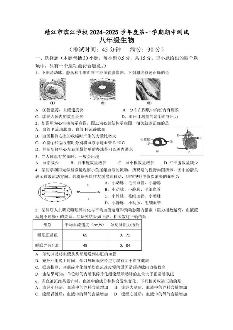 2024～2025学年江苏省泰州市靖江市滨江学校二校联考八年级(上)期中生物试卷(含答案)01