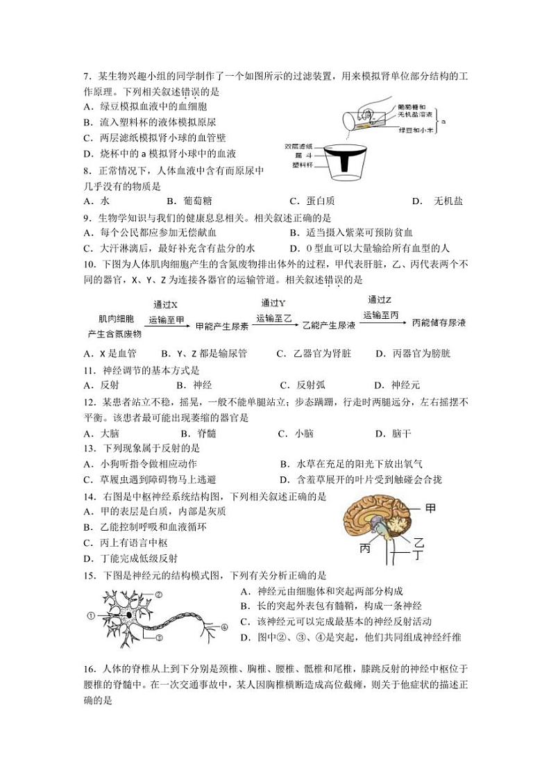 2024～2025学年江苏省泰州市靖江市滨江学校二校联考八年级(上)期中生物试卷(含答案)02