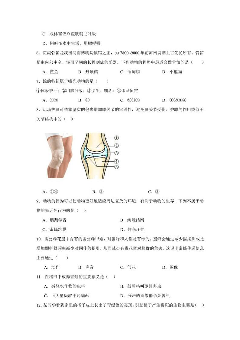 2024～2025学年黑龙江省齐齐哈尔市区五地联考八年级(上)11月月考生物试卷(含答案)第2页