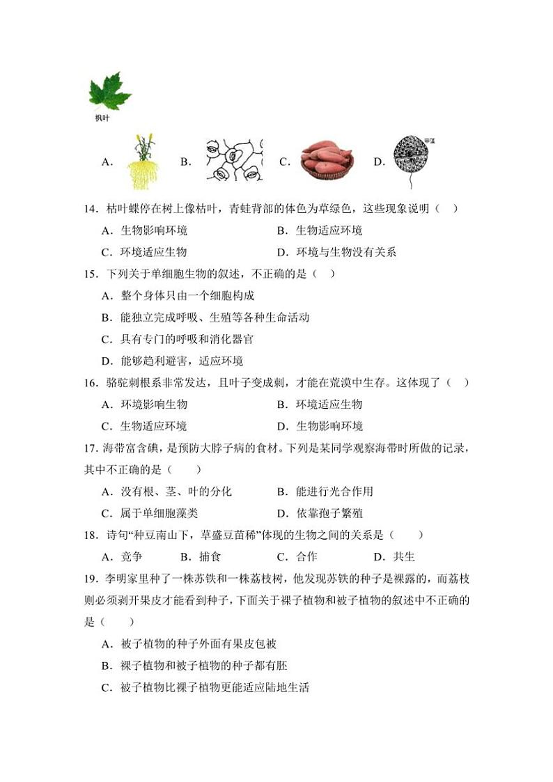 2024～2025学年黑龙江省齐齐哈尔市区五地联考七年级(上)11月月考生物试卷(含答案)第3页