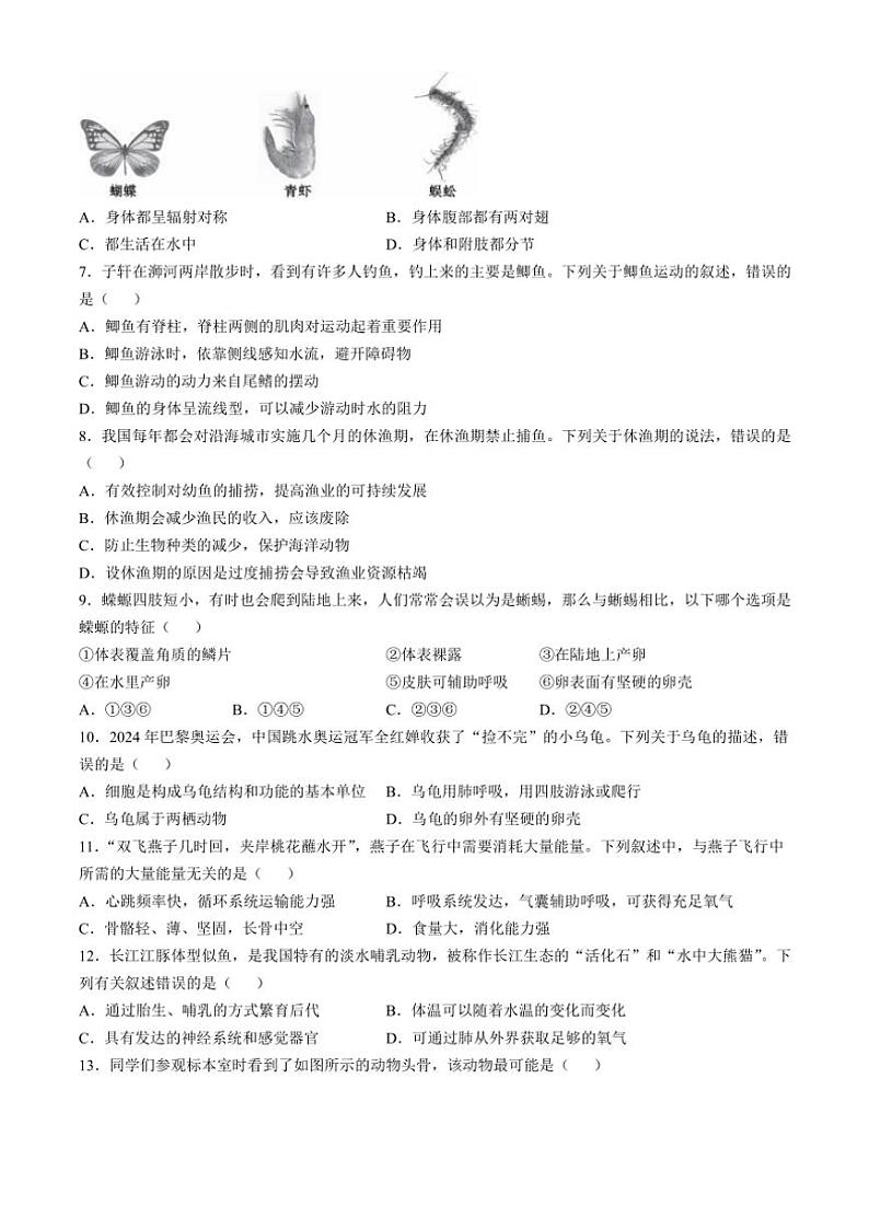 2024～2025学年河南省信阳市潢川县八年级(上)期中生物试卷(含解析)第2页