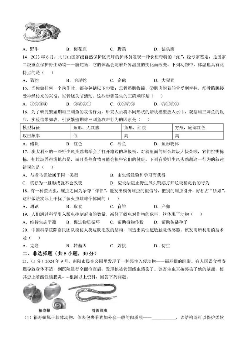 2024～2025学年河南省信阳市潢川县八年级(上)期中生物试卷(含解析)第3页