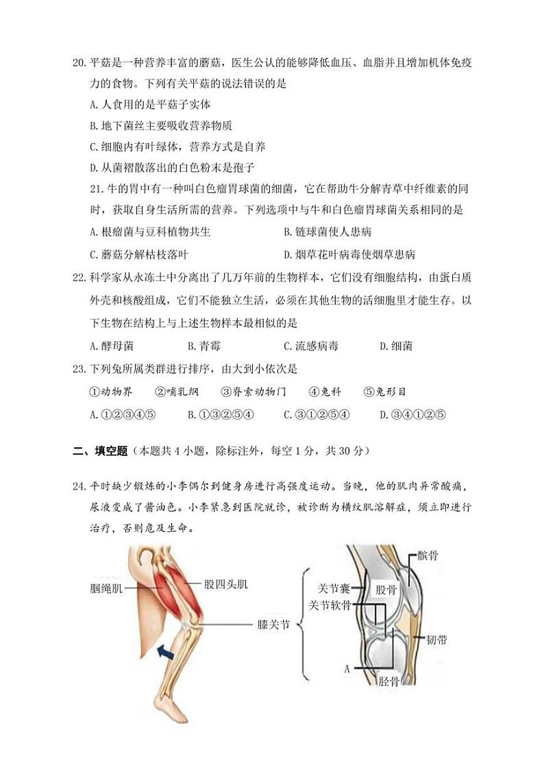 2024～2025学年湖北省十堰市丹江口市八年级(上)期中教育教学质量监测生物试卷(含答案)03