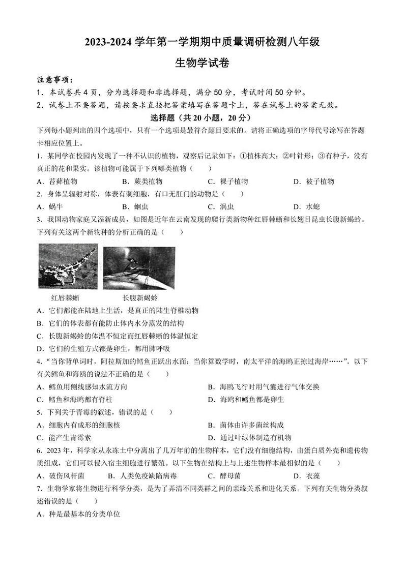 2023～2024学年河南省洛阳市伊川县八年级(上)期中生物试卷(含答案)第1页