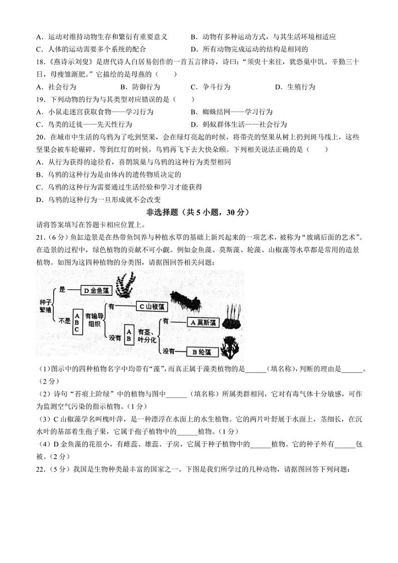 2023～2024学年河南省洛阳市伊川县八年级(上)期中生物试卷(含答案)第3页